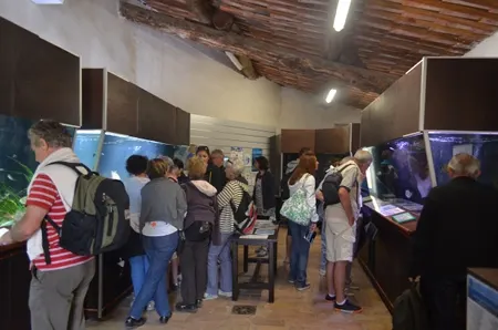 Un archipel au large de Cannes 75