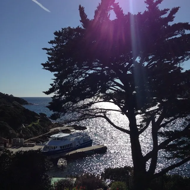 Nettoyage du bord de mer au Levant 176