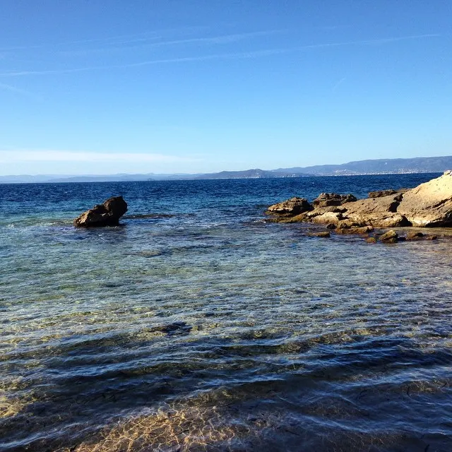 Nettoyage du bord de mer au Levant 177
